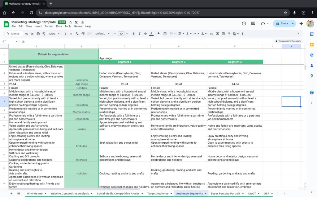 Target Audiences segment - Digital Marketing Strategy
